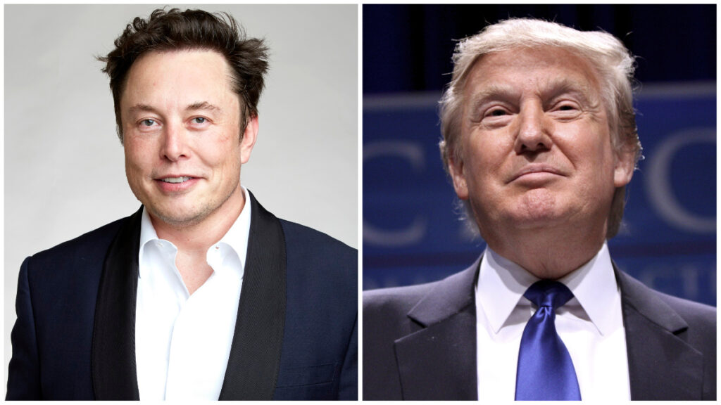 Elon Musk Says Hes Reinstating Donald Trump On Twitter 